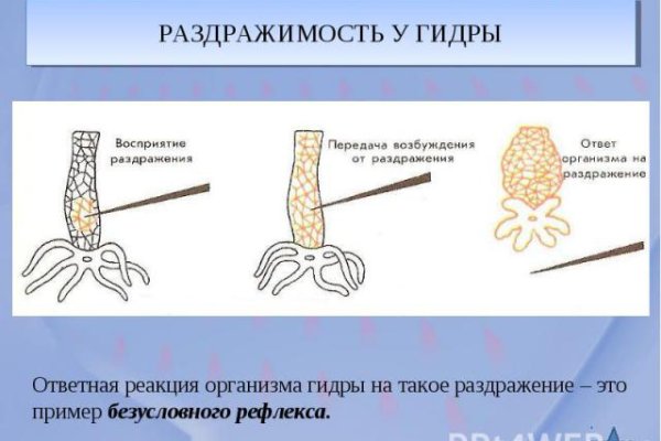 Гидра и кракен