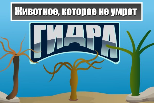 Официальная ссылка на кракен в тор