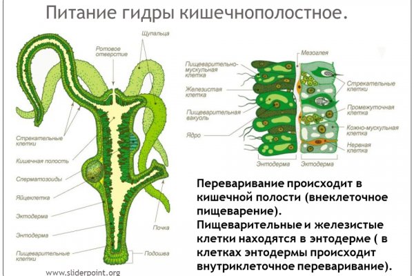 Кракен маркер даркнет