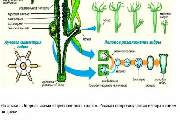 Кракен сайт нарк