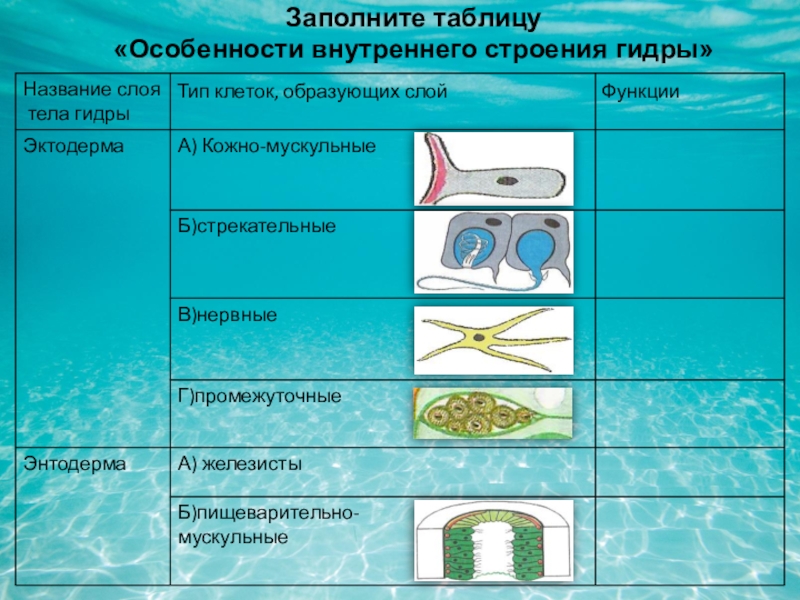 Как зарегистрироваться на сайте кракен